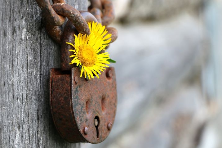 13.12.2024 Geschlossen 